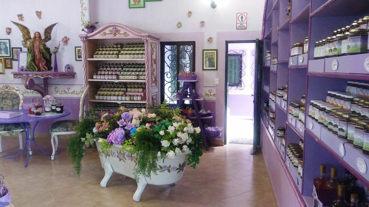 Hotel Vida En Rosas Bernal Buitenkant foto